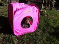 Athur Bear Rabbit in the Cube