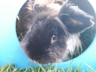 My Boy Mr Molly