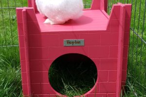 Rabbit Castle (Flamingo Pink)