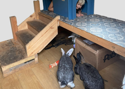 Giant Rabbit House Hideaway