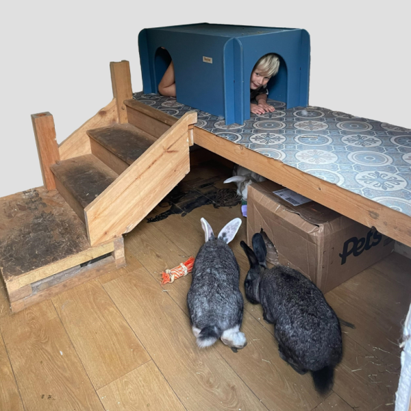 Giant Rabbit House Hideaway