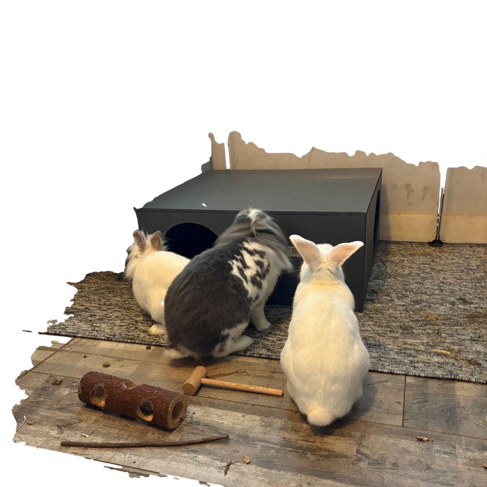 Extra Large Rabbit Hideaway - Colour Options (New) - Image 5