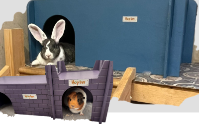 NEW Giant Rabbit Shelter and Guinea Pig Castle and Hideout