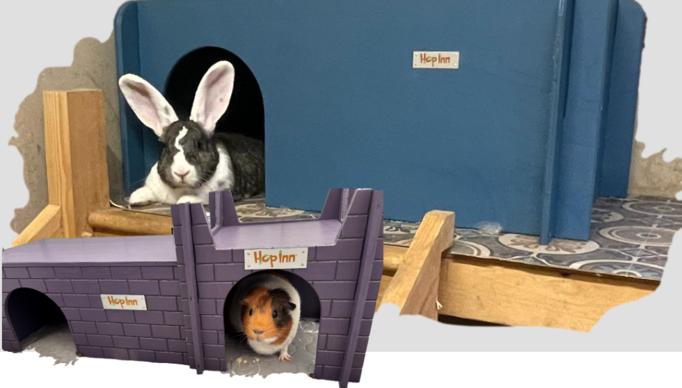 NEW Giant Rabbit Shelter and Guinea Pig Castle and Hideout | Hop Inn