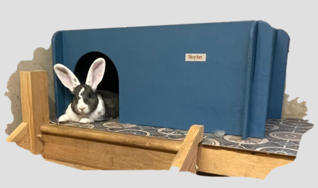 Giant Rabbit Hideaway for Indoor or Outdoor - Colour Options (New)