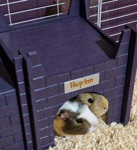 Guinea Pig Castle (Czar Plum) use together with any Hop Inn Guinea Hideaway House