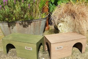 Guinea Pig Hidey Houses x 2 (Colour Options)