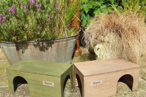 Guinea Pig Hidey House x 2