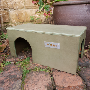 Guinea Pig Hidey House - Moss Green