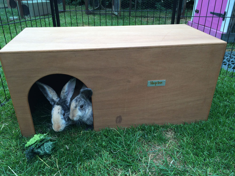 NEW Giant Rabbit Hideout Shelter – Fun Dog House too