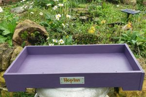 Forage Box Tray (Czar Plum)