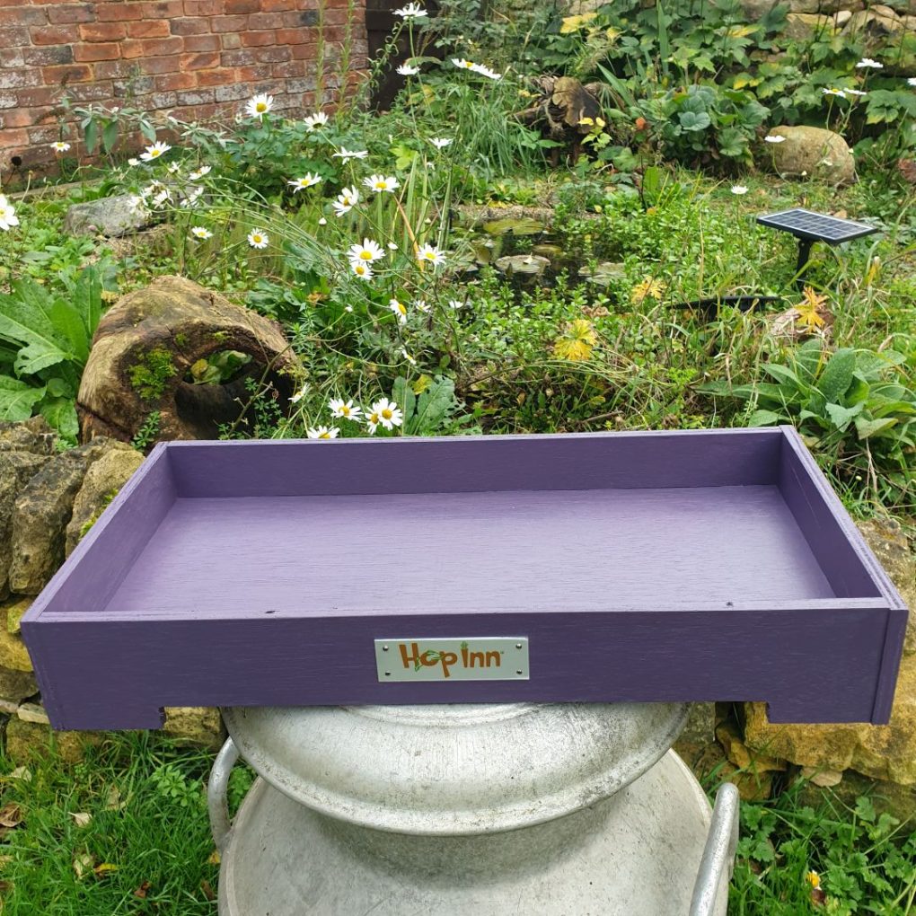 Forage Box Tray (Czar Plum)