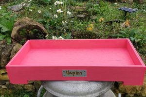 Forage Box Tray (Flamingo Pink)