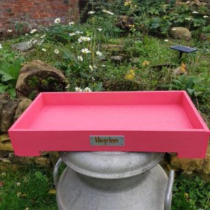 Forage Box Tray (Flamingo Pink)