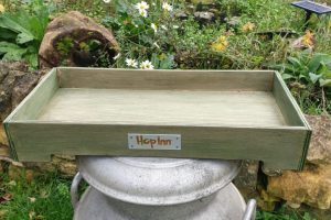 Forage Box Tray (Moss Green)