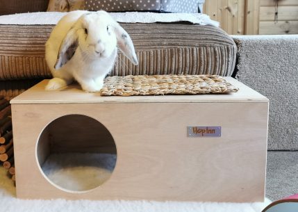 Rabbit Hideaway House - Natural
