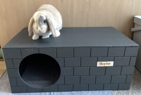 Rabbit Bricked Hideaway (Slate Grey)