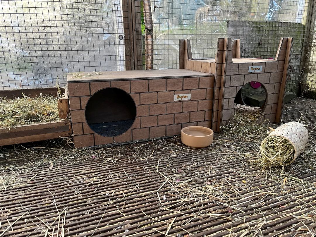 Rabbit Hideaway and Castle - Use Together or Separately (Weathered Wood) - Image 13