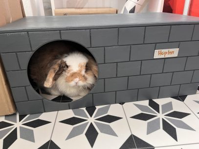 Rabbit Bricked Hideaway (Slate Grey)