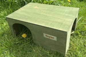 Extra Large Guinea Pig House (Moss Green)