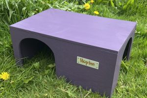 Extra Large Guinea Pig House (Czar Plum)