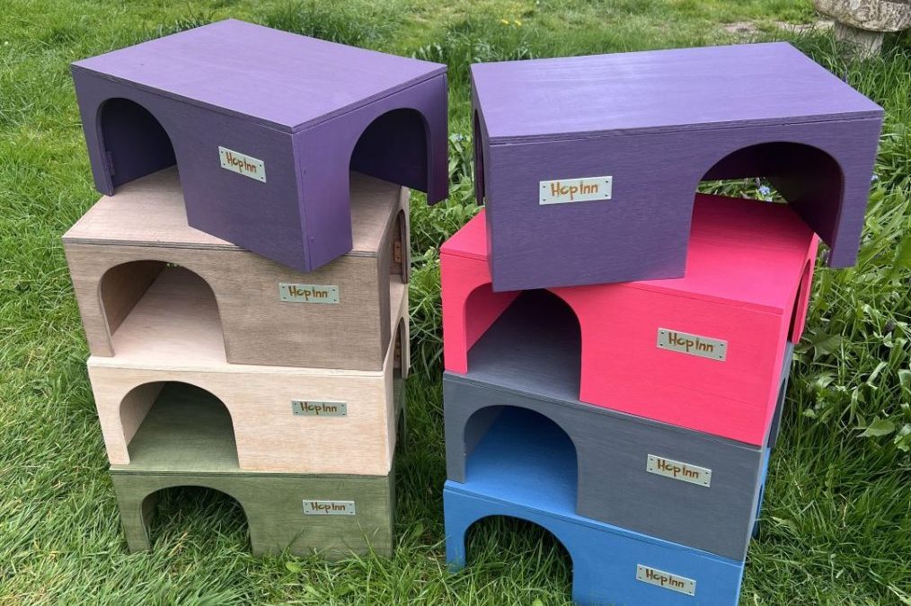 NEW Large Guinea Pig Houses for the Larger Cavies