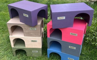 NEW Large Guinea Pig Houses for the Larger Cavies