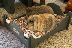 Large Cozy Bed for Rabbits and Guinea Pigs (Slate Grey)