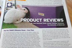 Rabbit Hideaway House - Czar Plum