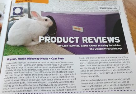 Rabbit Hideaway House - Czar Plum