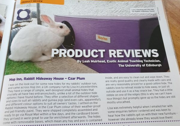 Rabbit Hideaway House - Czar Plum - Image 2