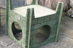 Rabbit Castle for Cats and Kittens too (Moss Green)