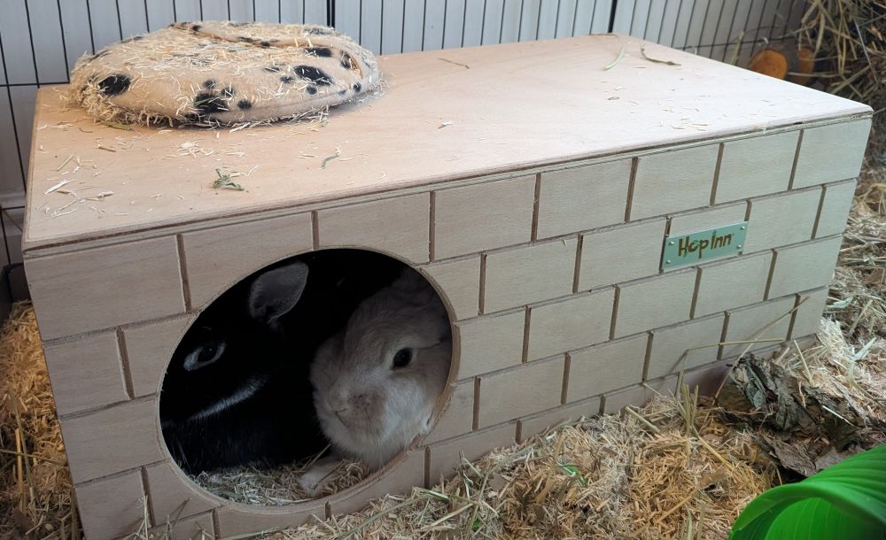 Rabbit Bricked Hideaway (Natural)