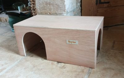 Two Way Arched Rabbit Hideaways