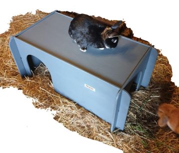 Giant Rabbit Hideaway for Indoor or Outdoor - Colour Options (New)