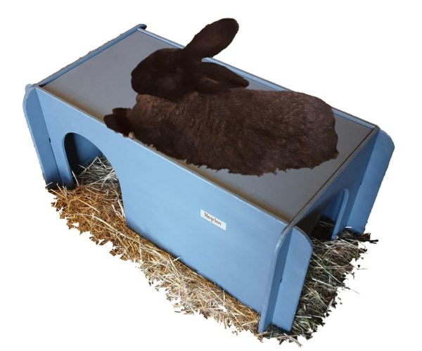 XXL Rabbit Giant Hideaway