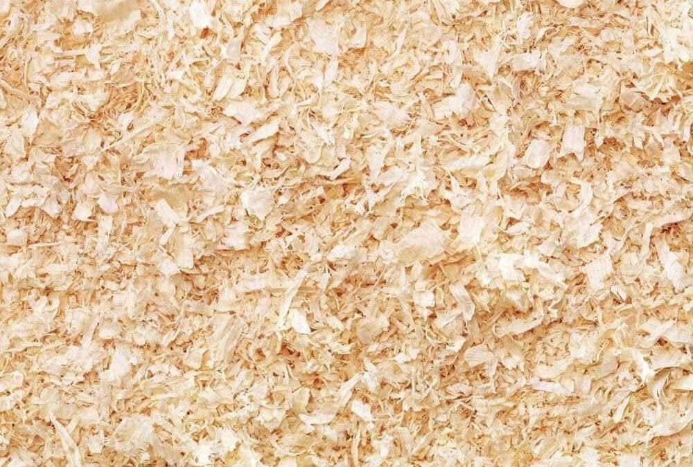 The Dangers of Soft Wood Shavings for Small Pets