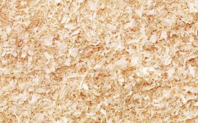 The Dangers of Soft Wood Shavings for Small Pets