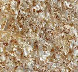 The Dangers of Soft Wood Shavings for Small Pets